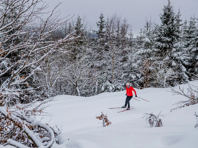 Langläuferin im Winterwald in Willingen Langläuferin im Winterwald in Willingen