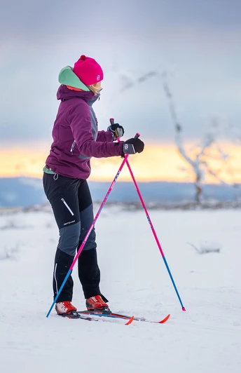 Langläuferin in Willingen Langläuferin in Willingen