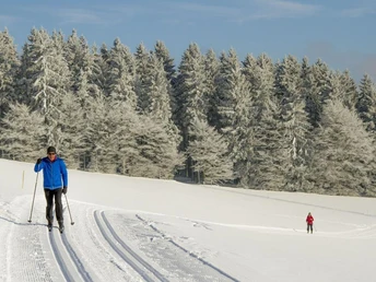 Langläufer in der Loipe Langläufer in der Loipe