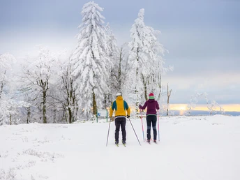Langläufer-Paar in der Loipe in Willingen Langläufer-Paar in der Loipe in Willingen