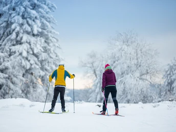 Langläufer-Paar in Willingen Langläufer-Paar in Willingen