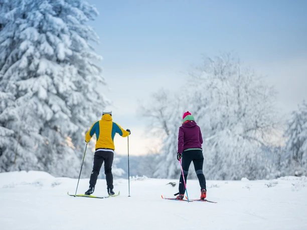 Langläufer-Paar in Willingen Langläufer-Paar in Willingen
