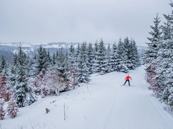 Langläuferin bei der Abfahrt im verschneiten Wald Langläuferin bei der Abfahrt im verschneiten Wald