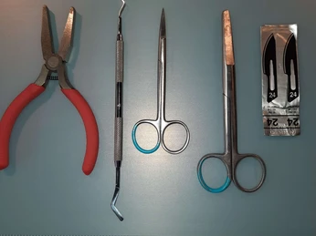 Werkzeuge der Tierpräparation