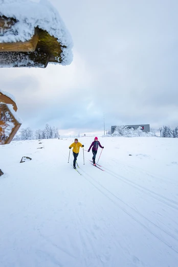 Langläufer auf dem Ettelsbergplateau Langläufer auf dem Ettelsbergplateau