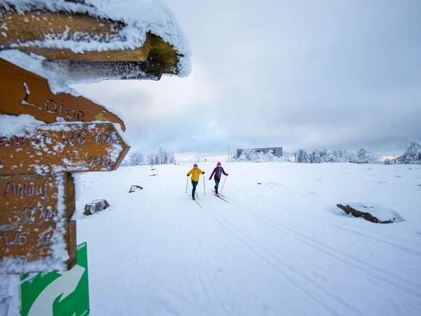 Langläufer auf dem Ettelsbergplateau Langläufer auf dem Ettelsbergplateau