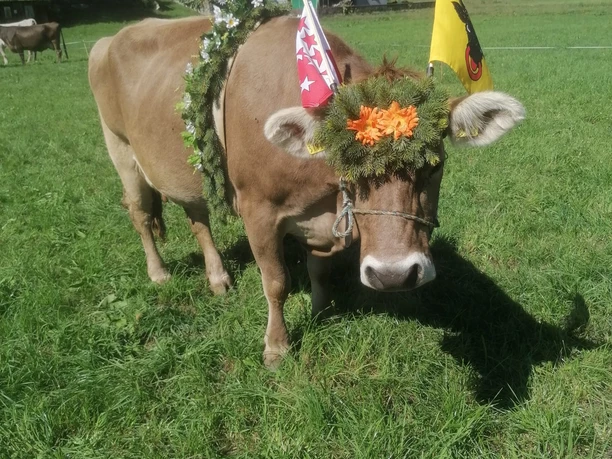 Alpabzug Fiesch.jpeg