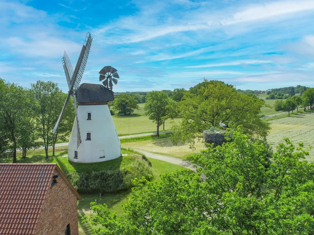 Stadt Petershagen_Heimsen_Christian Meier_Mühle_Luftaufnahme_Mühle und Storch 2.jpg Die historische Windmühle in Petershagen mit rotem Ziegeldach, umgeben von grüner Landschaft.