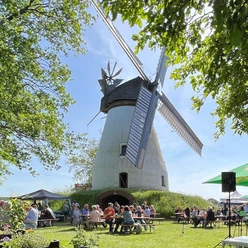 Stadt Petershagen_Heimsen_Evelyn Hotze_Mühle_außen_belebter Mühlentag_Sommer_quer.jpg Menschen sitzen an Tischen vor einer traditionellen Windmühle mit drehenden Flügeln bei Sonnenschein.