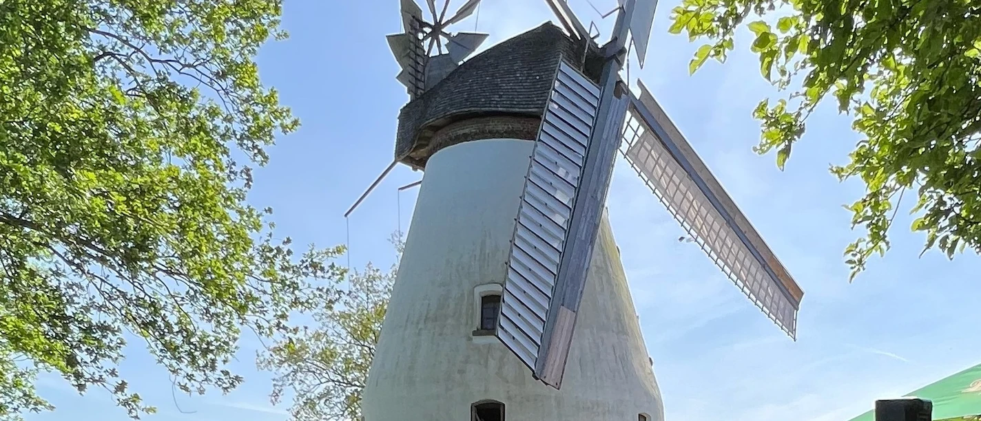 Stadt Petershagen_Heimsen_Evelyn Hotze_Mühle_außen_belebter Mühlentag_Sommer_quer.jpg Menschen sitzen an Tischen vor einer traditionellen Windmühle mit drehenden Flügeln bei Sonnenschein.