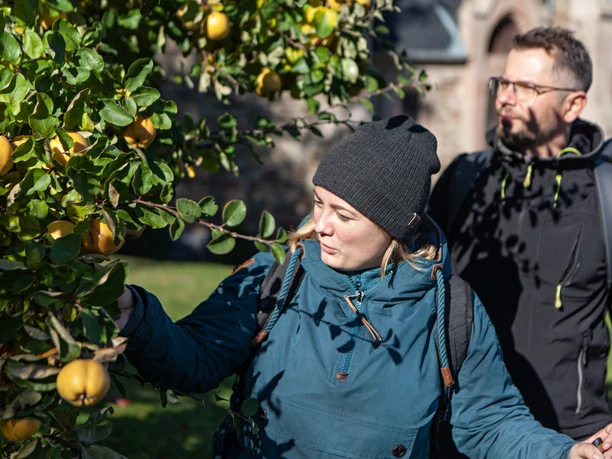 Hohenstein Hohenstein