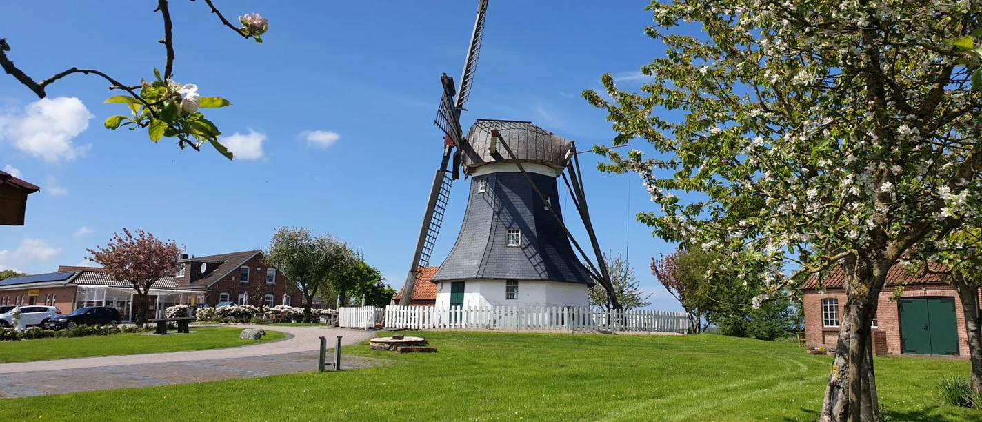 De molen met bomen op de voorgrond