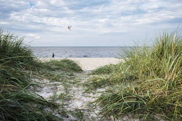 POI-Strand-Schillig.jpg