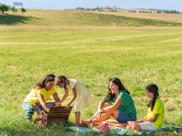 Picknick im Landschaftspark in Monheim Menschen genießen einen sonnigen Tag im Park, beim Picknick auf einer grünen Wiese.