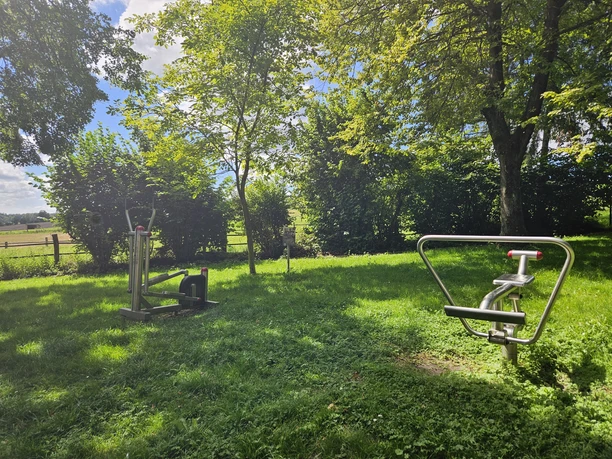 Fitnessgeräte auf einer grünen Wiese umgeben von Bäumen unter blauem Himmel im Freien.