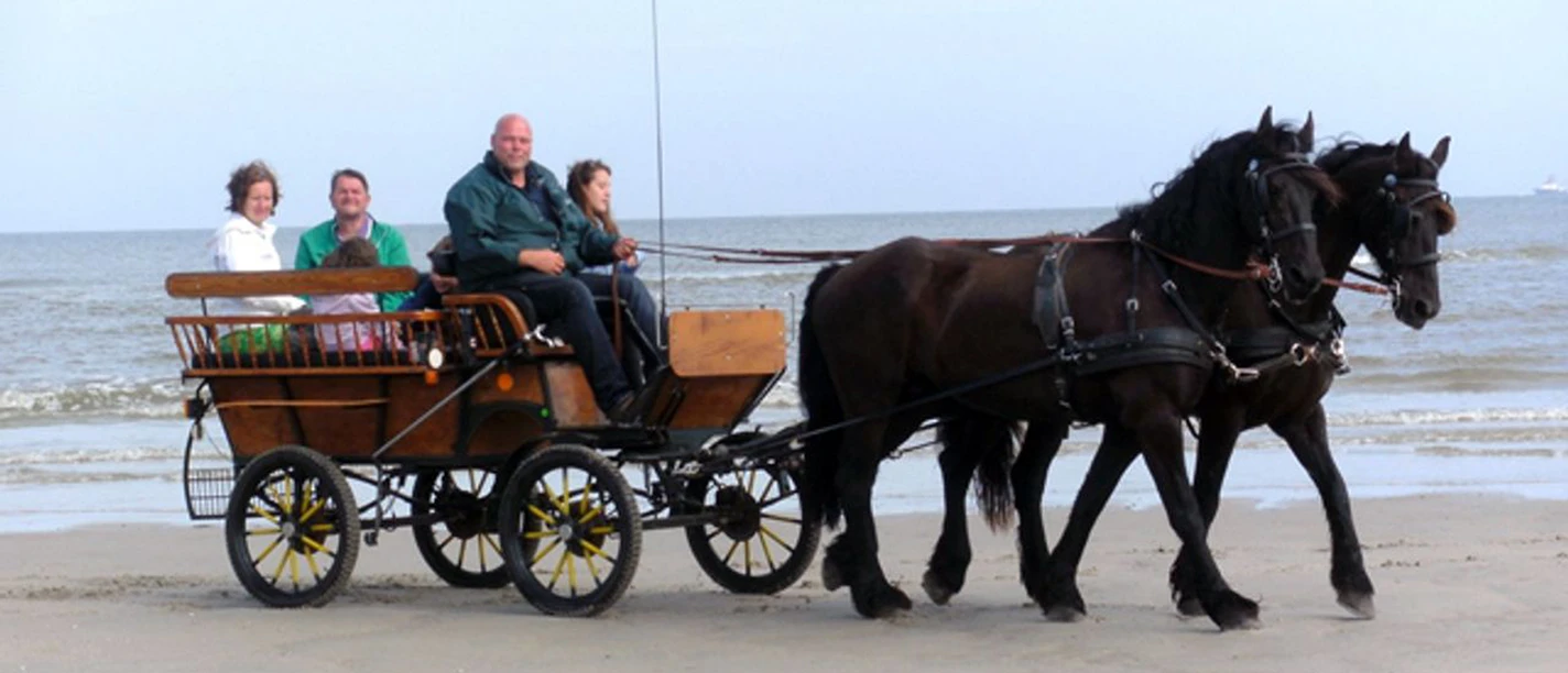 Kutschfahrten