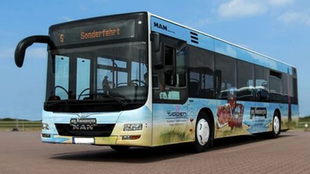Bus-Linie
