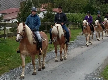 Reiterhof Wernigerode - Wanderritte Reiterhof Wernigerode - Wanderritte