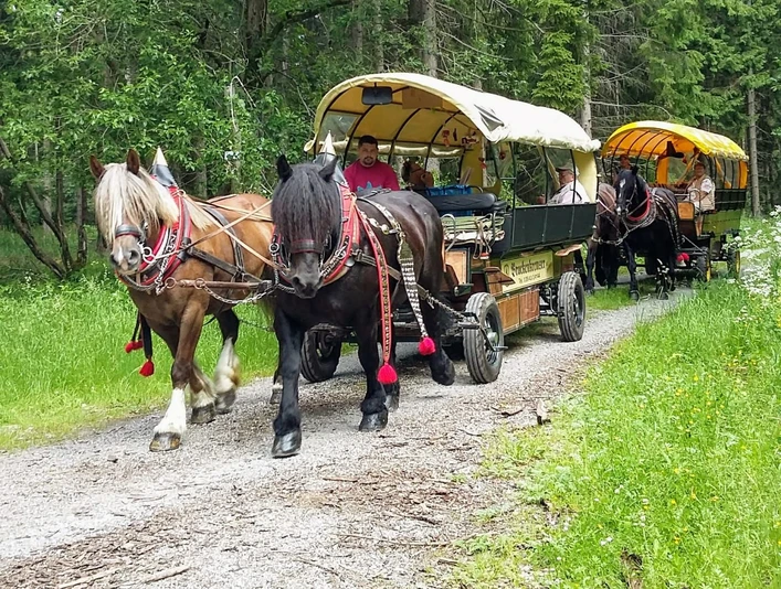 Reiterhof Wernigerode - Kutschfahrten Reiterhof Wernigerode - Kutschfahrten