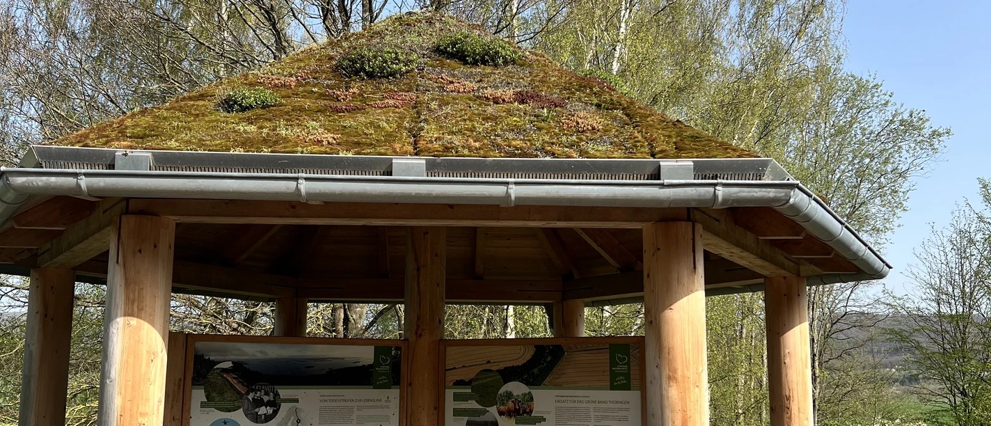 Grenze Walkenried zu Ellrich