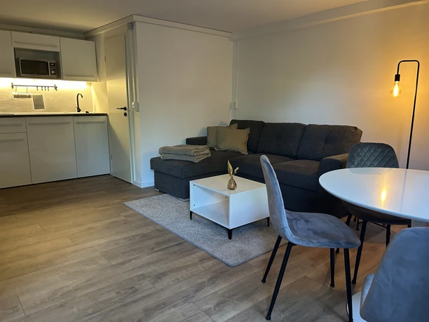 Wohn Küche quer.jpg Moderne Wohnküche mit schlichtem Sofa, Esstisch und voll ausgestatteter Küchenzeile in warmen Tönen.