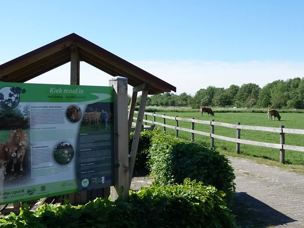 Regiomat Hof Lüssing ©Emsland Tourismus GmbH Grüne Weide mit weidendem Vieh, Info-Tafel des Hofs Lüssing unter Holzdach bei blauem Himmel