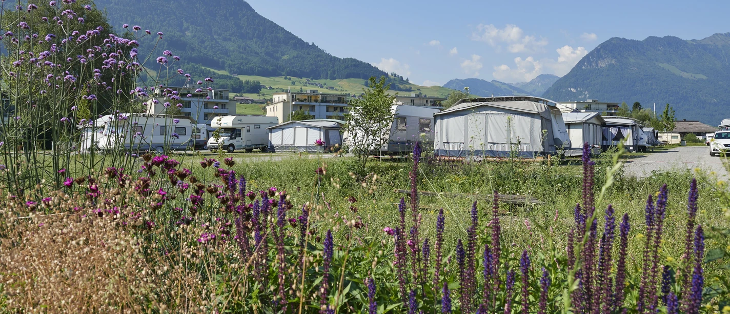 TCS Camping Buochs_Caravane_Buochs063_Nidwald