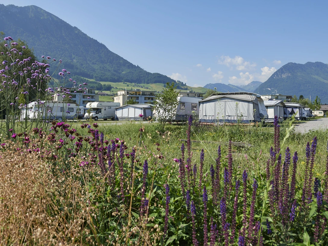 TCS Camping Buochs_Wohnwagen_Buochs063_Nidwalden