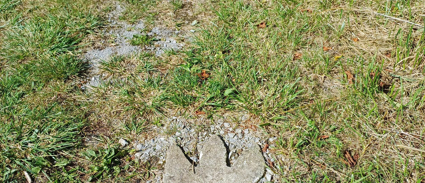 20240912_120111.jpg
