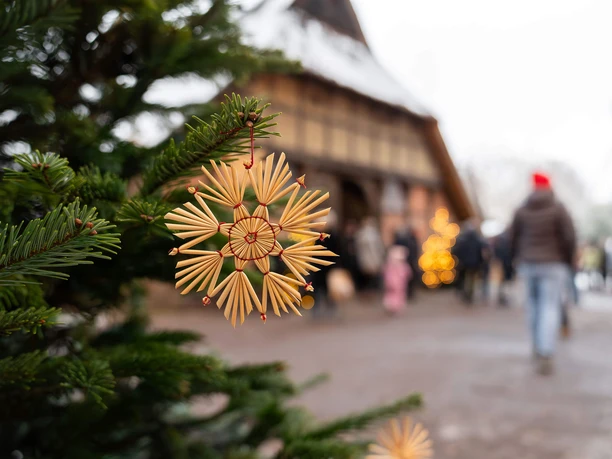 historischer-weihnachtsmarkt-bad-zwischenahn-vor-dem-bauernhaus.jpg Stroster op een sparrentak voor een historische boerderij met bezoekers op de kerstmarkt.