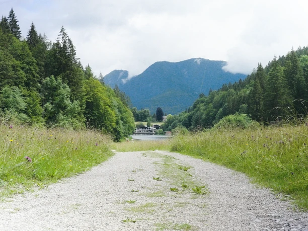 Riessersee Ein Kiesweg führt durch grüne Wiesen, umgeben von Wäldern und Bergen im Hintergrund.
