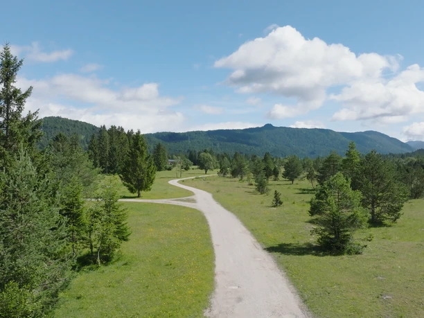 Wanderweg Krün Breiter, geschwungener Wanderweg durch grüne Wiesen mit Bergen im Hintergrund unter blauem Himmel.