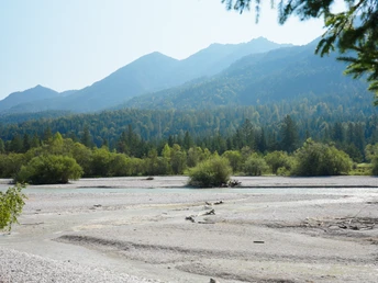 Isar in Krün Blick auf die Isar in Krün mit Bergen im Hintergrund und umgeben von üppiger Vegetation.