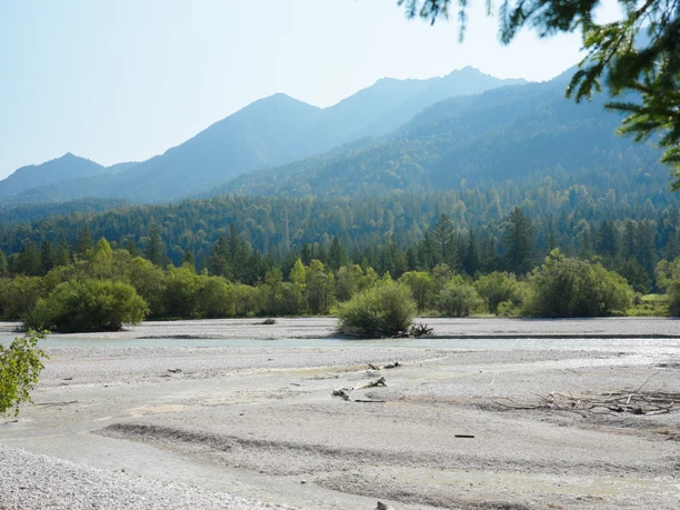 Isar in Krün Blick auf die Isar in Krün mit Bergen im Hintergrund und umgeben von üppiger Vegetation.
