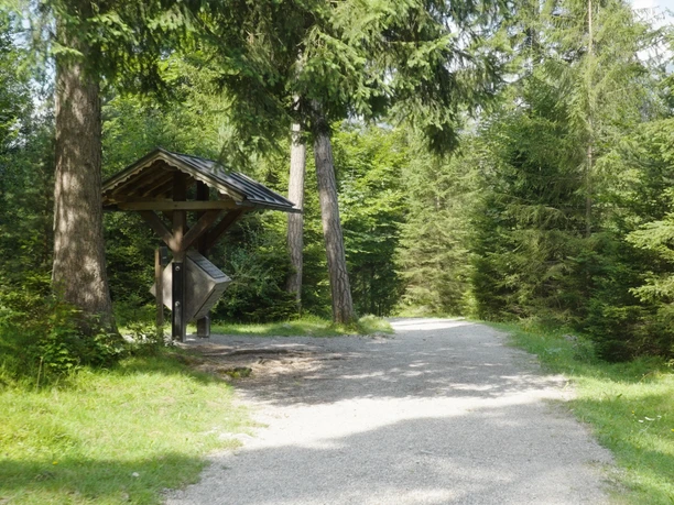 Farchant Natur- und Erholungspark Kuhflucht Waldweg mit Infotafel und dichten Bäumen im Farchant Natur- und Erholungspark.