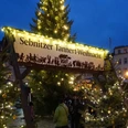 Tannertweihnacht Sebnitz Glänzende Lichterketten schmücken einen großen Weihnachtsbaum auf dem Sebnitzer Tannertweihnachtsmarkt.