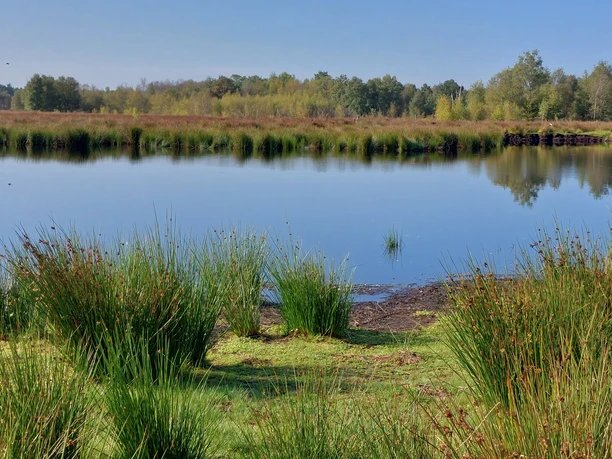 Bockholter Dose Vrees © Emsland Tourismus GmbH (18).jpg