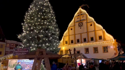 The Grimma town hall is illuminated for Christmas. In the foreground is a large decorated Christmas tree and stalls with specialties.