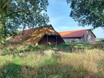 Bockholter Dose Vrees © Emsland Tourismus GmbH (2).jpg