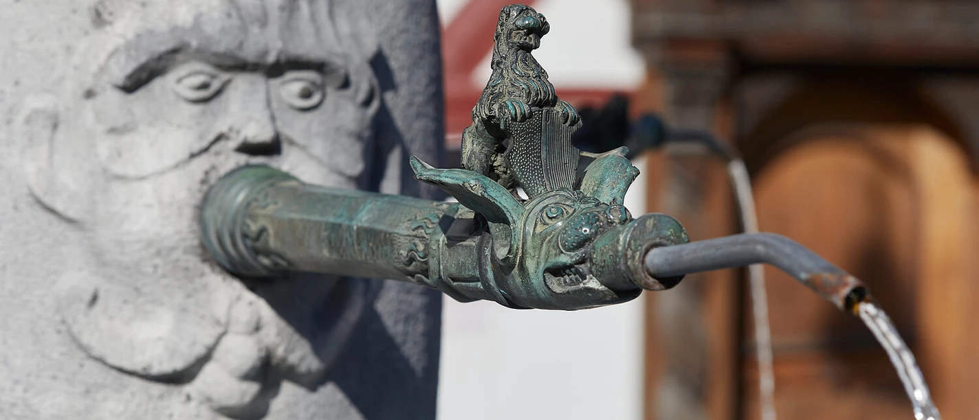 Brunnenrundgang Sempach.jpg