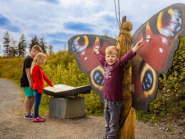 kinder-schmetterling-raupenweg c) Ettelsberg-Seilbahn.jpg