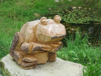 Glögglifroschweg_Eich_Kröte_02.jpg