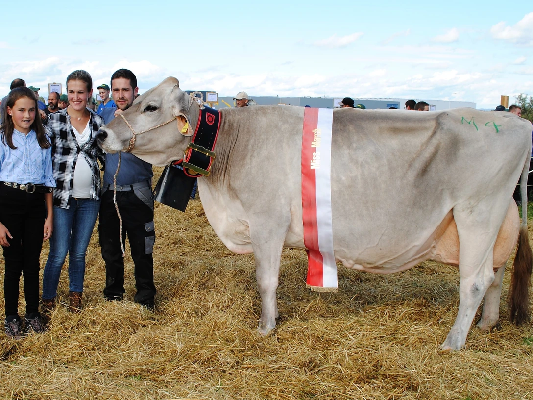 Bezirksviehschau March