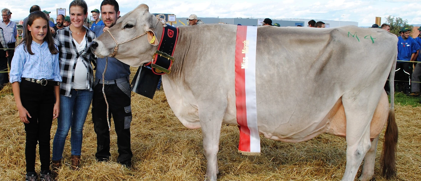 Bezirksviehschau March