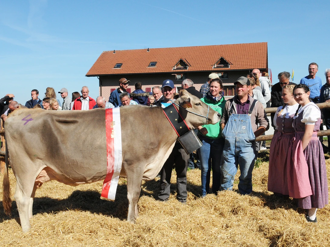 Bezirksviehschau Höfe