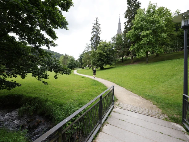 Schlangenbad Kurpark