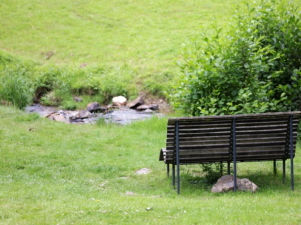 Schlangenbad Kurpark