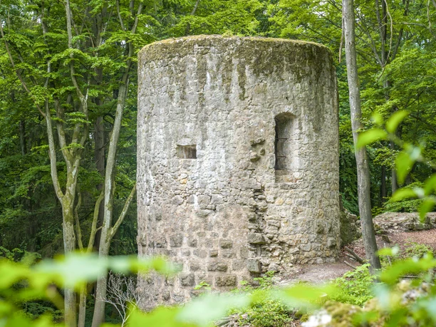 Burgruine Ehrenfels