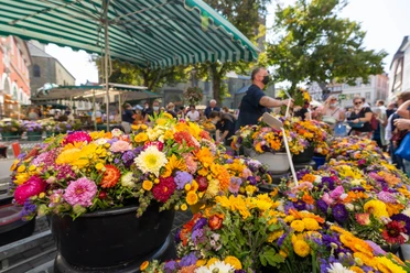Bördebauernmarkt