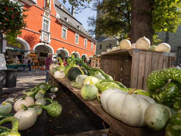 Bördebauernmarkt